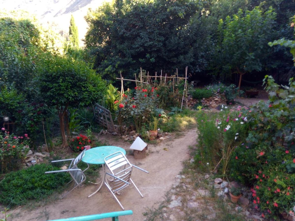 El Retiro De Isabel Pensionat Embid de la Ribera Exteriör bild